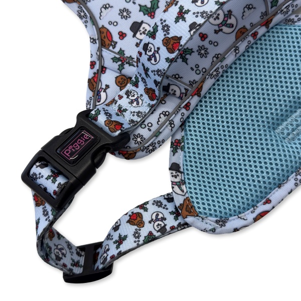 Mr Robin Explorer Harness Bundle